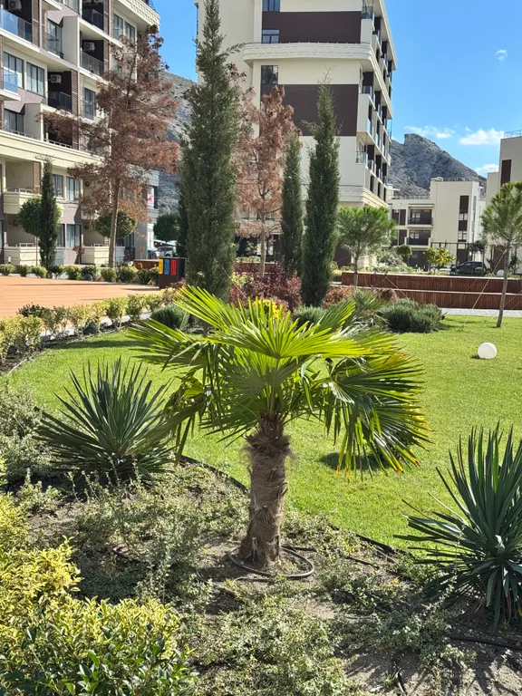 Апартаменты на первой линии с видом на море и горы