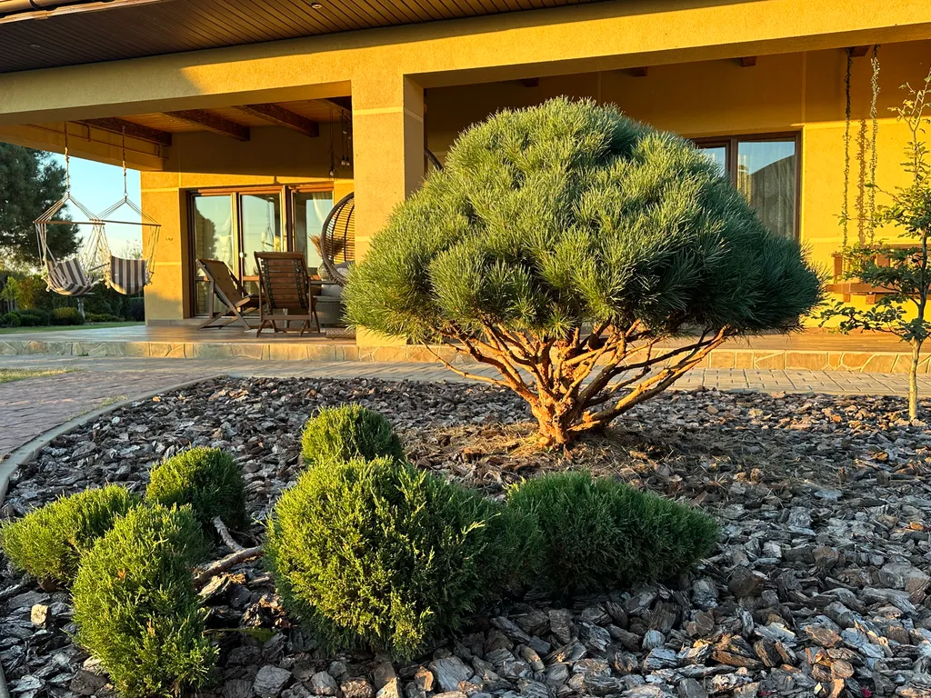 Загородный коттедж премиум класса - для семейного отдыха в 45 километрах от Минска