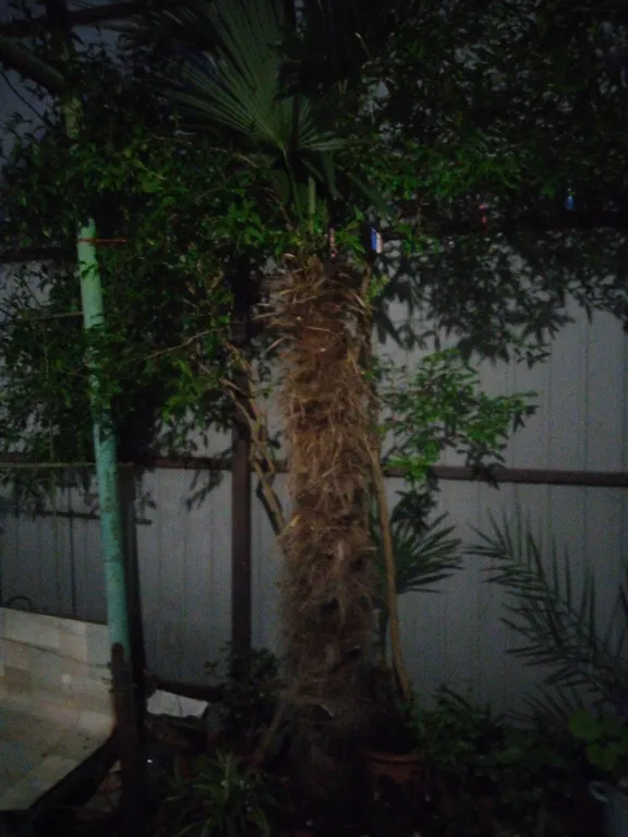 3-комнатный дом у моря с мангалом