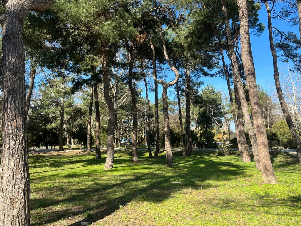 Квартира Квартира Студия у моря — Анапа