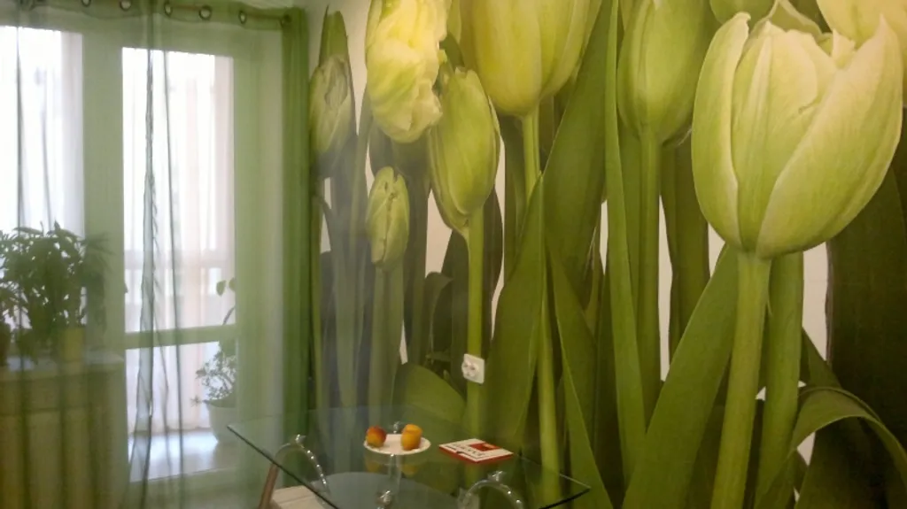 1-комнатная Квартира — аренда посуточно в Зеленоградск