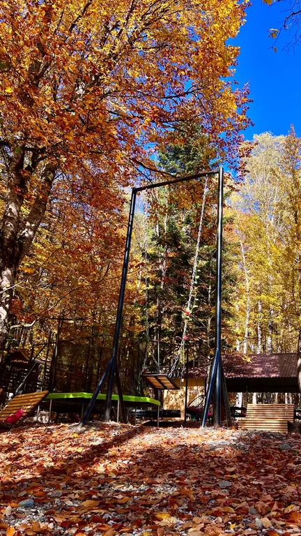 Уютный домик в чаще леса