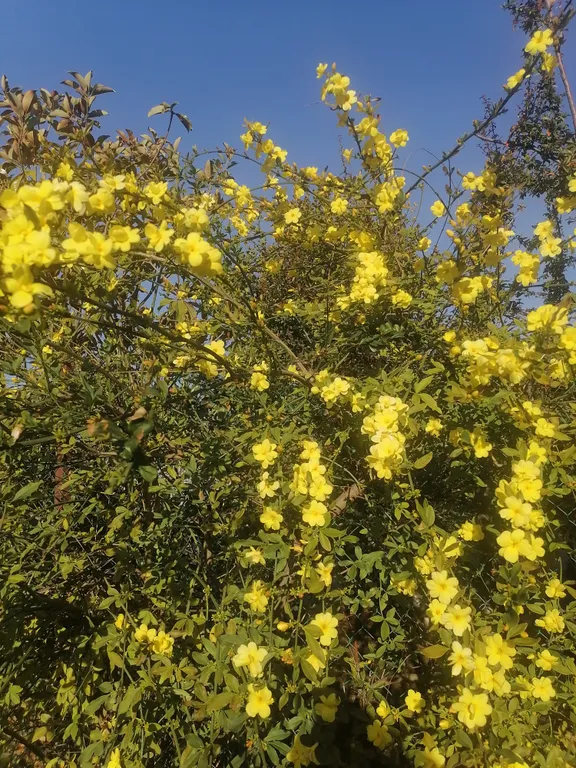 Квартира Квартира Санрайз 2 — Алахадзы