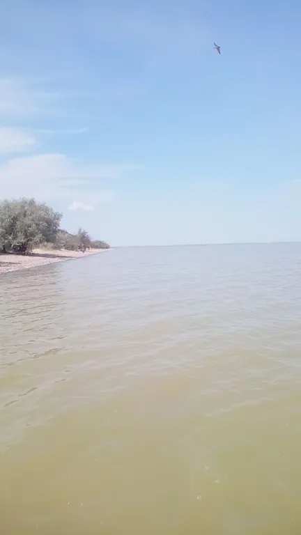 Прекрасное место для отдыха