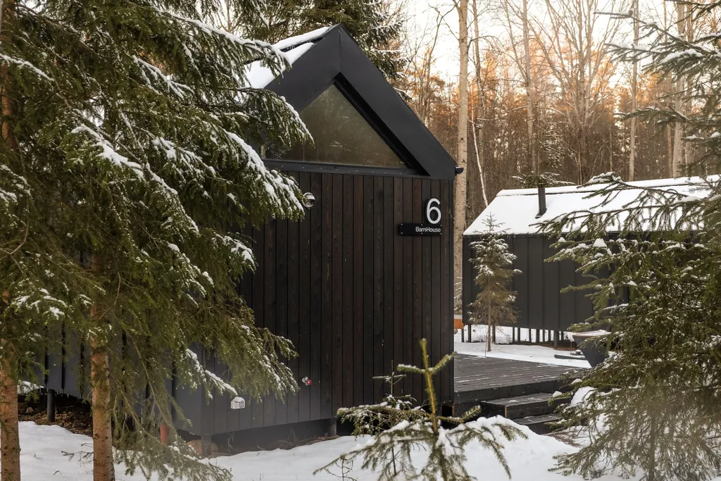 Дом в лесу с купелью фурако и мангальной зоной