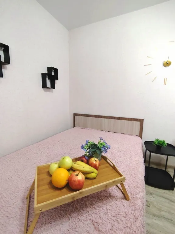 Уютная однокомнатная квартира