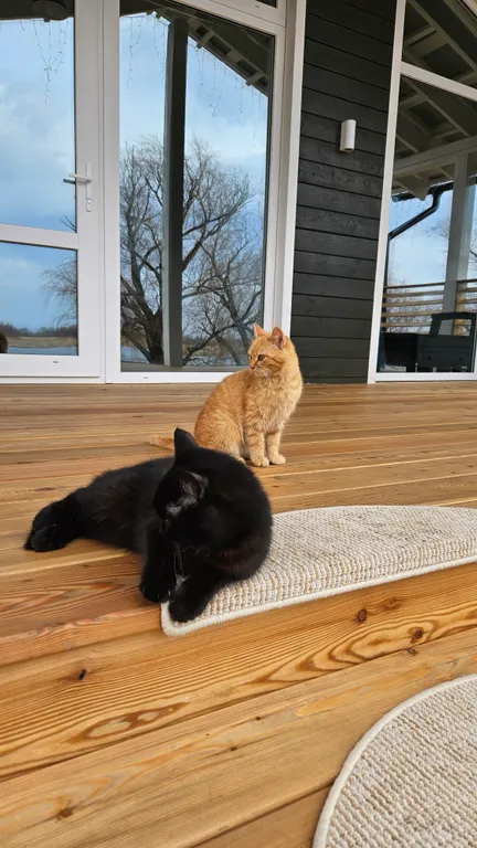 Дом с видом на реку