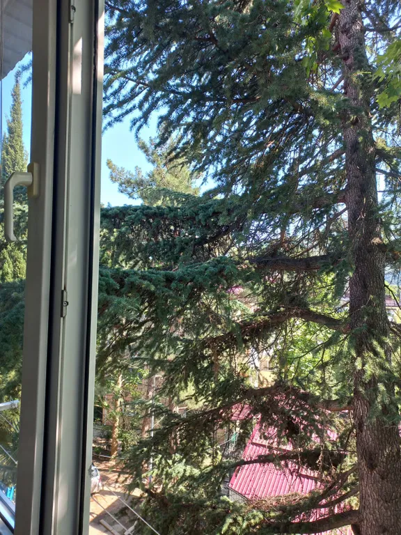 Уютная квартира в центральной части