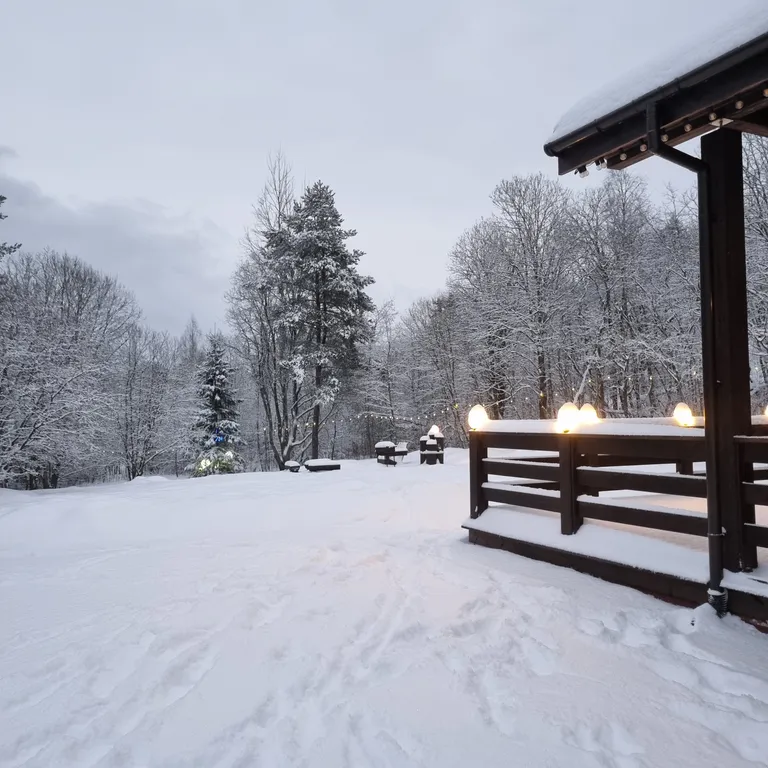 Дом Talotonttu на холме в окружении леса