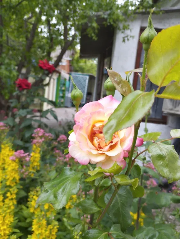 Комната с кондиционером на мансардном этаже