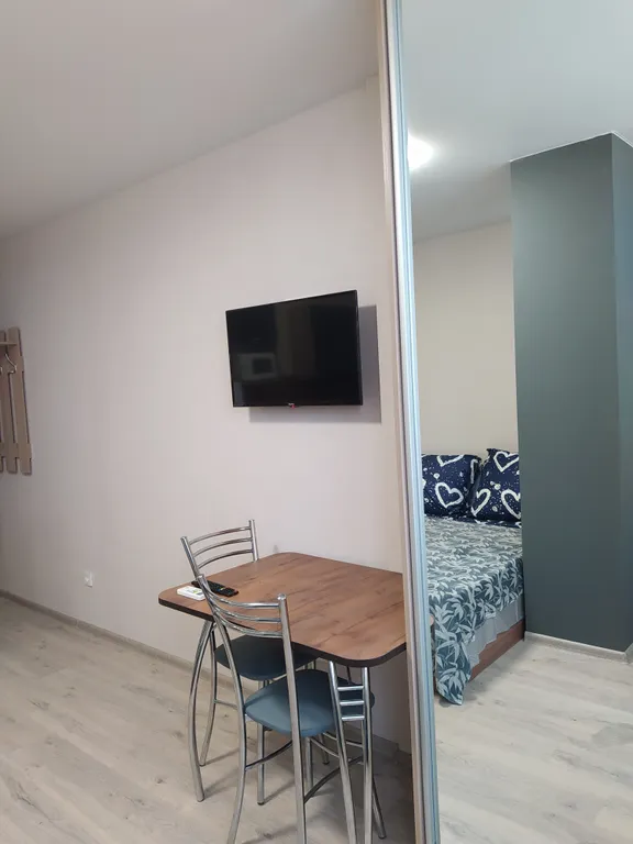 Уютная студия в Парке Победы