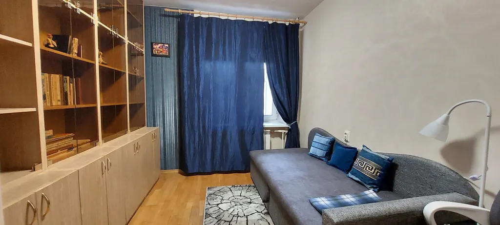 Большая квартира на Ольгином пруду.