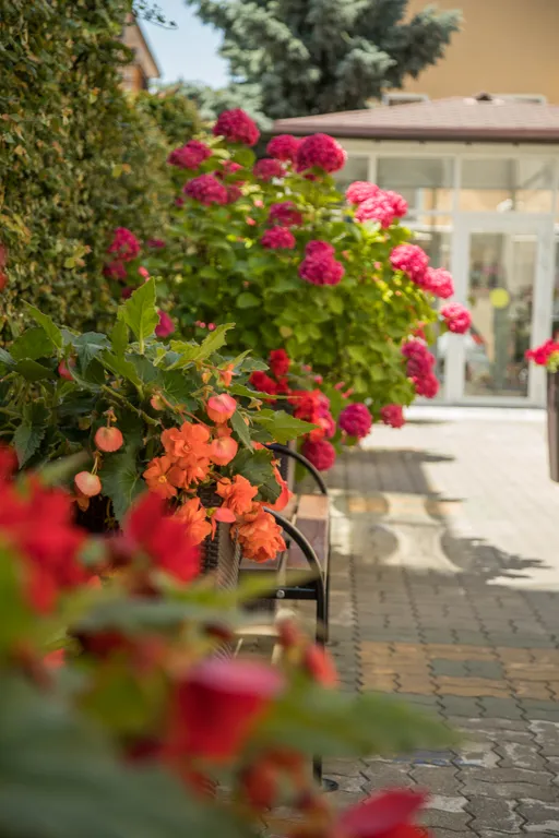 Квартира Комната — аренда посуточно в Сириус