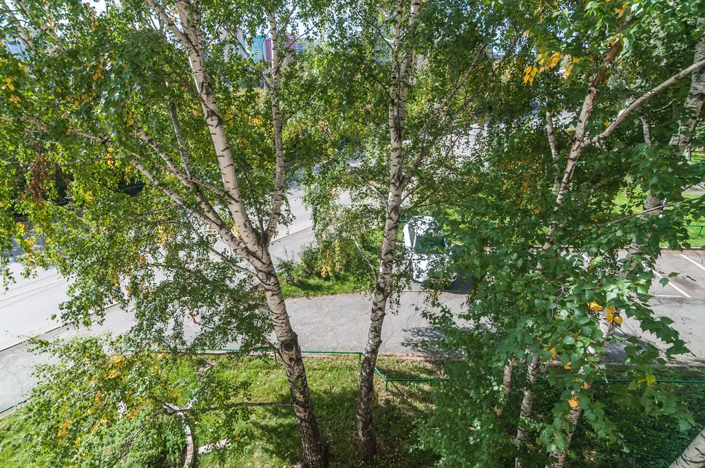 Апартаменты в центре города