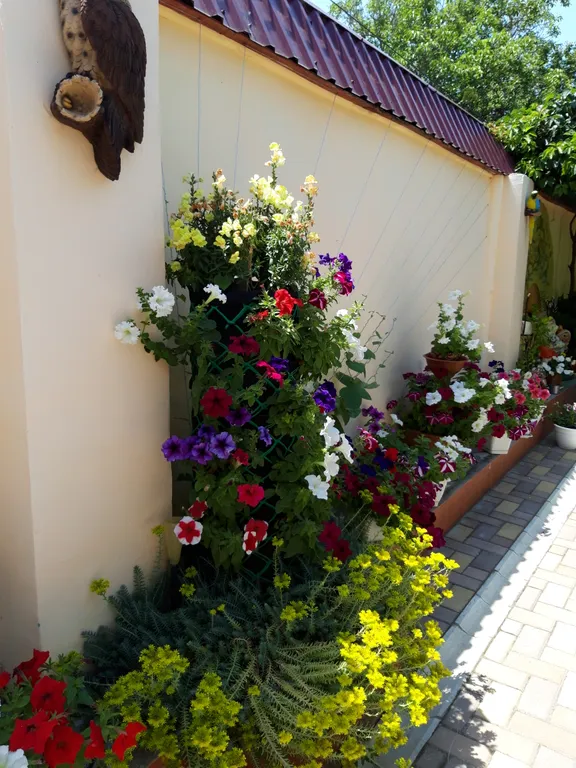 Комфортабельные апартаменты