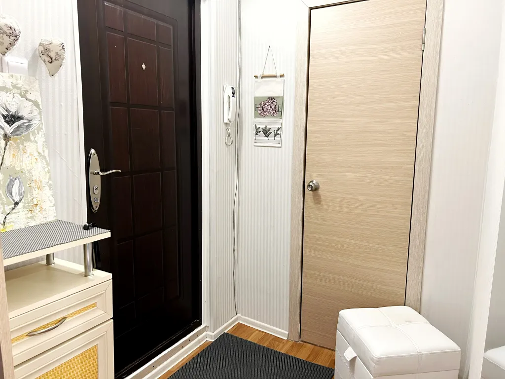 Уютная однокомнатная квартира