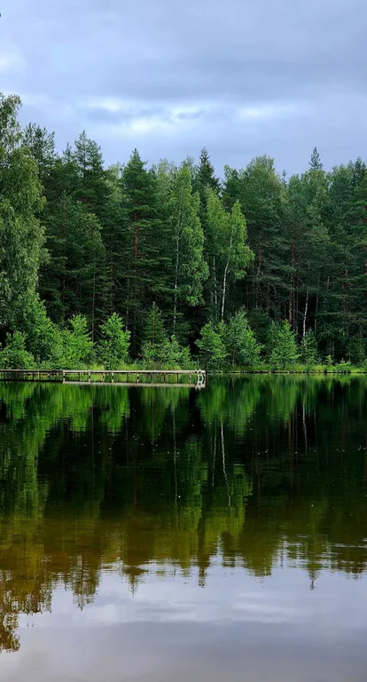 Коттедж Гостевой дом Уютная Орхидея — Первомайское