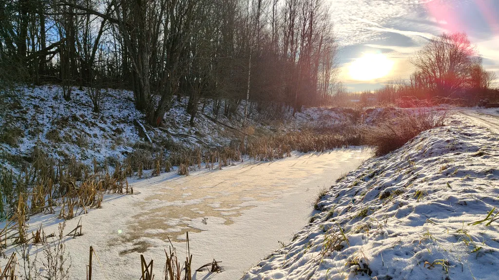 Дом у пруда в Веслево