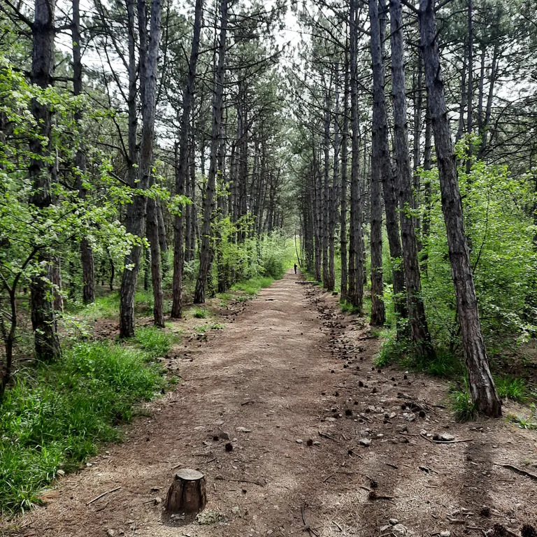 Квартира с красивым видом