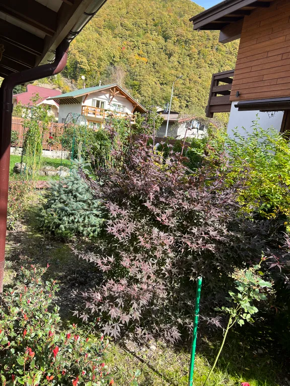 Коттедж Вилла счастья — Эсто-Садок