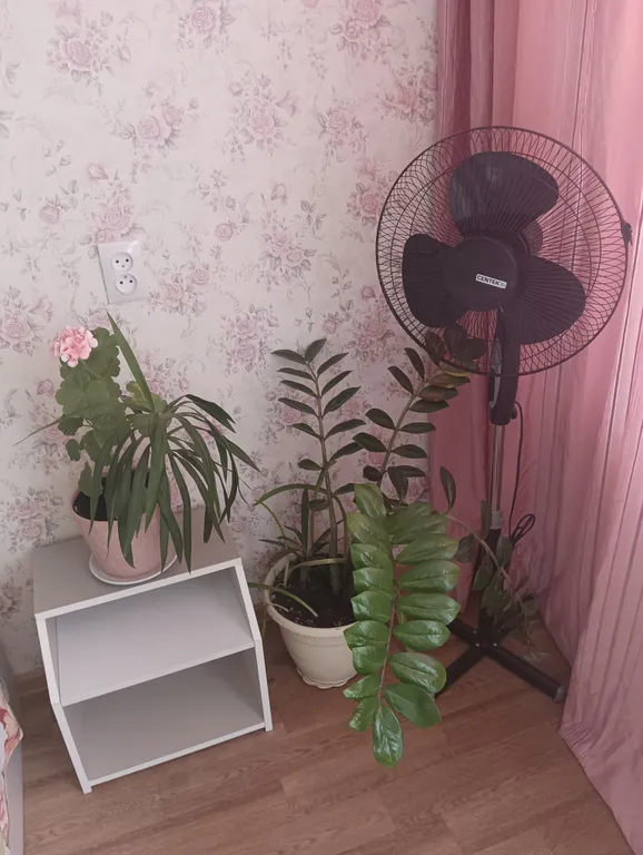 Уютная квартира около церкви на Шереметьевском проспекте