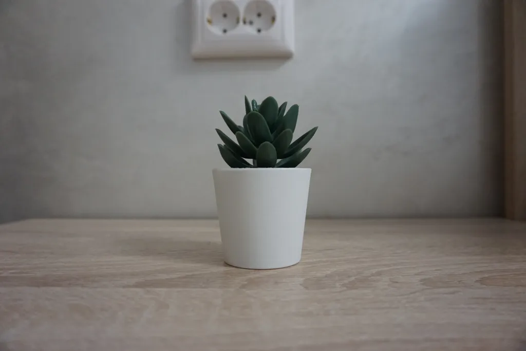 Квартира люкс в центре