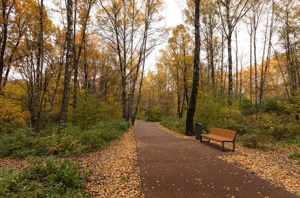 Новая дизайнерская студия
