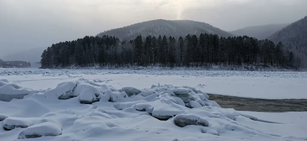 Дом с котом