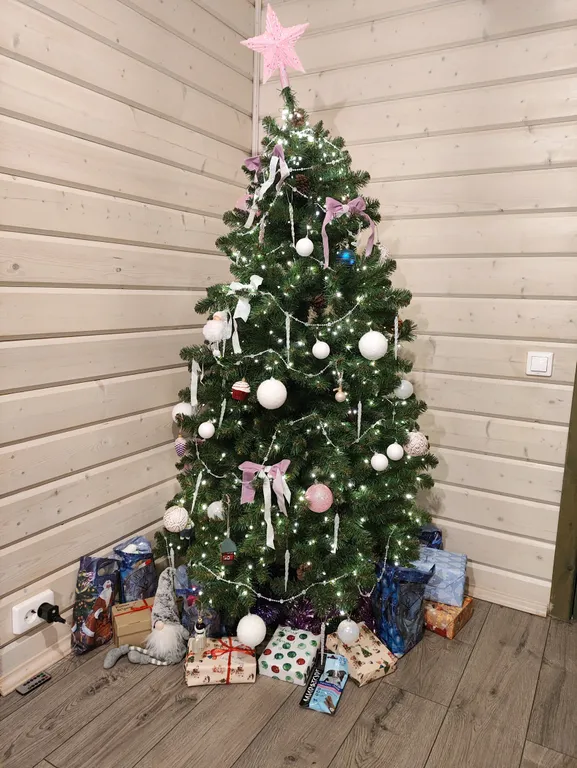 Дом в сосновом лесу у Финского залива