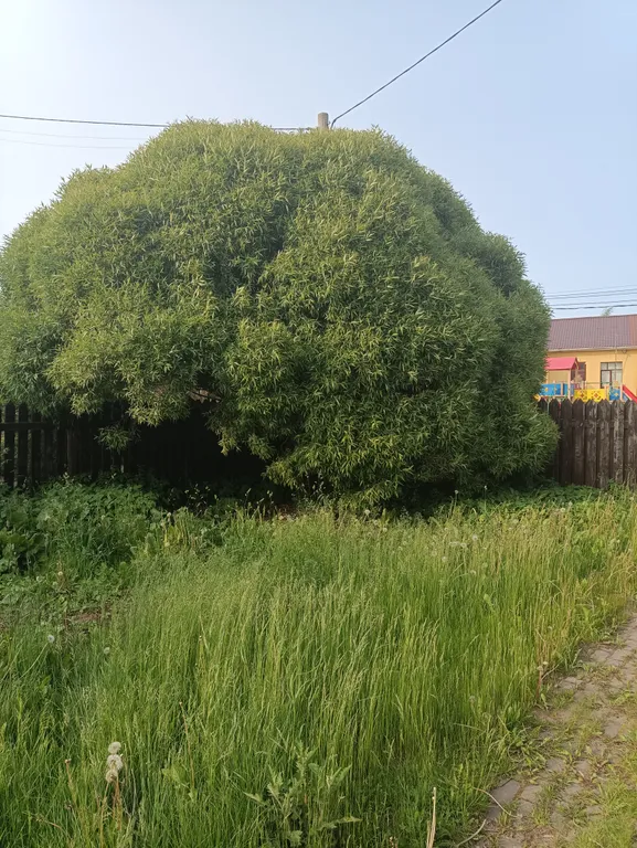 Большой дом на участке 12 соток