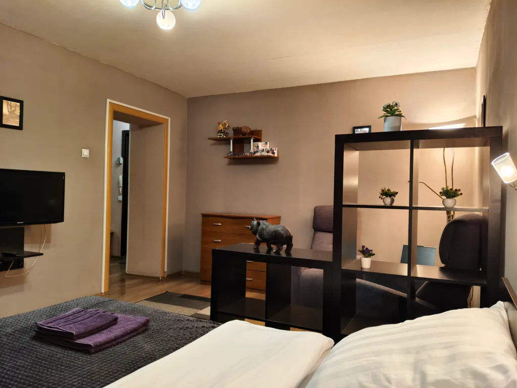 Просторная квартира с балконом в центре