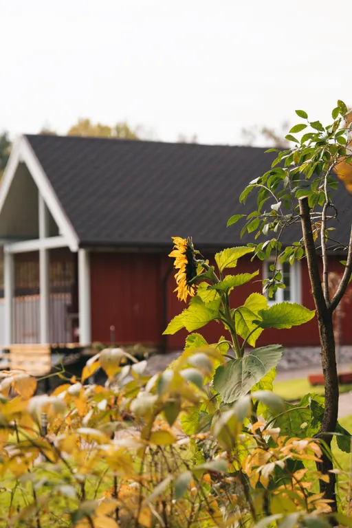 Финский дом Миеликки. Дача с камином и купелью