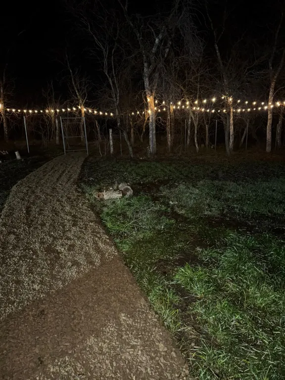 Уютный дом-шалаш