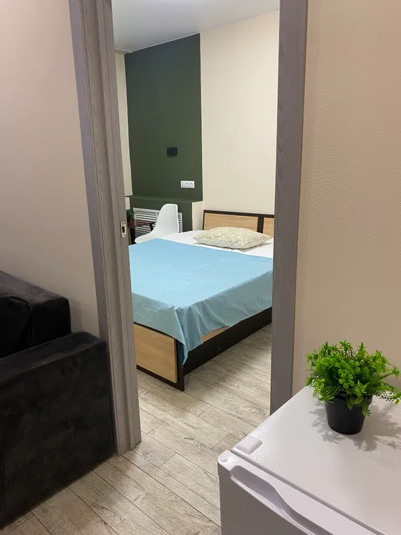 1-комнатная квартира в центре