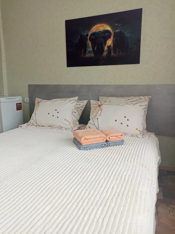 Квартира Студия с видом на монастырь — аренда посуточно в Истра