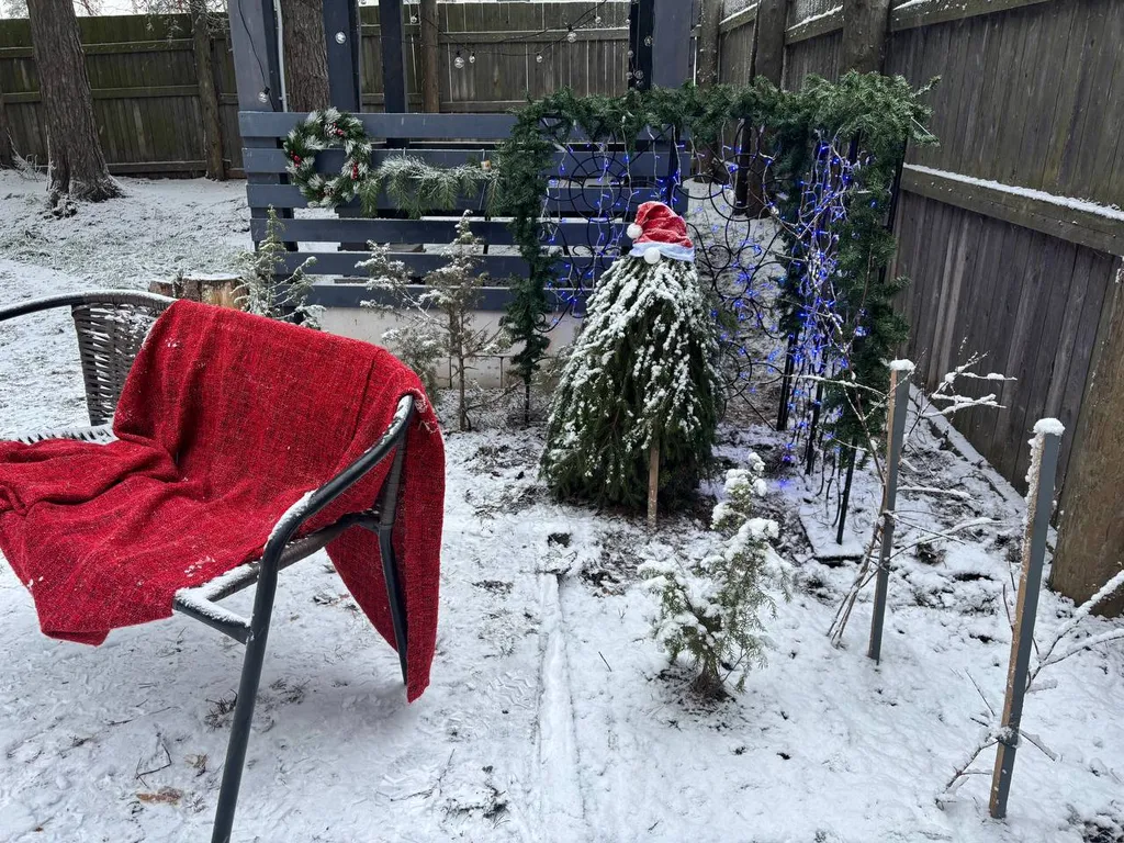 Уютный дом, баня на дровах, банный чан в сосновом бору Петрозаводска