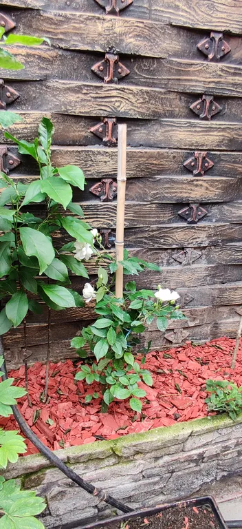 Апартамент с видом на достопримечательности