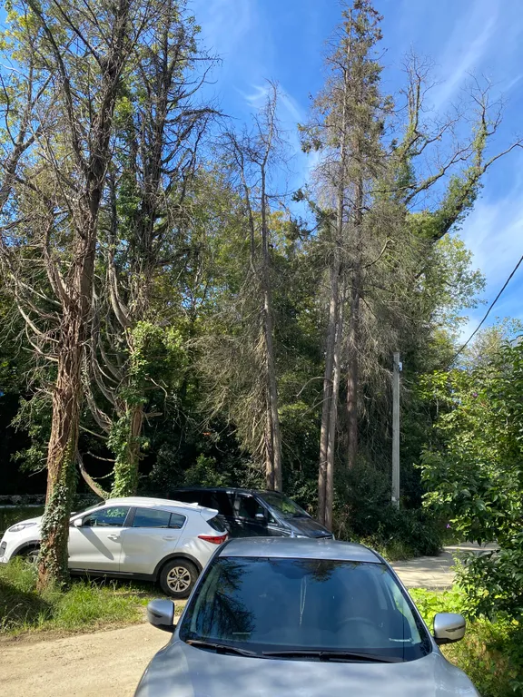 Изумительный отдых