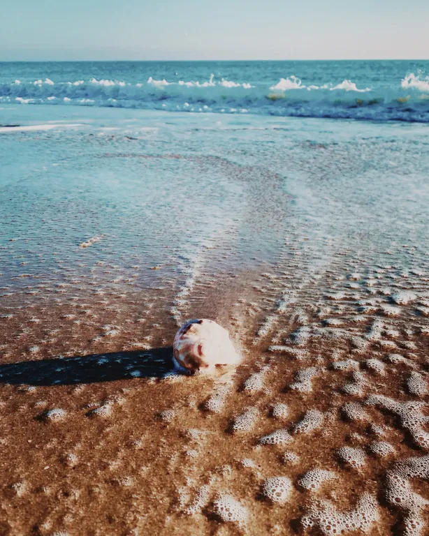 Апартамент полулюкс у моря