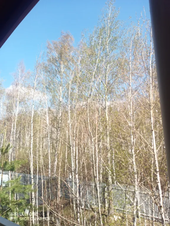 Дом рядом с конно-спортивным комплексом Дубрава