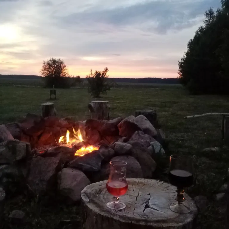 Усадьба в Беловежской пуще У Камина