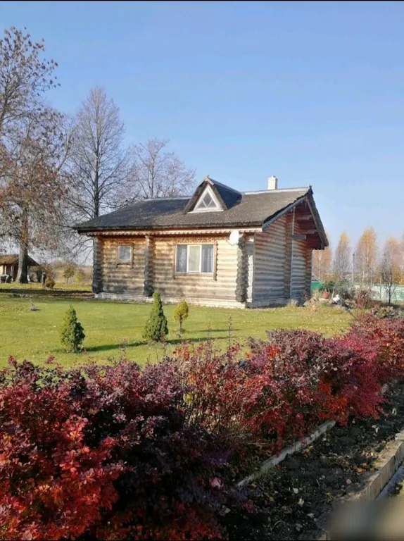 Деревянный домик с соломенной крышей и русская баня