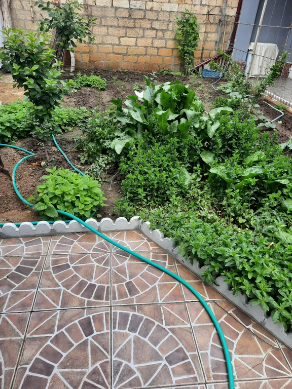 Коттедж 1-комнатный Дом — Дербент