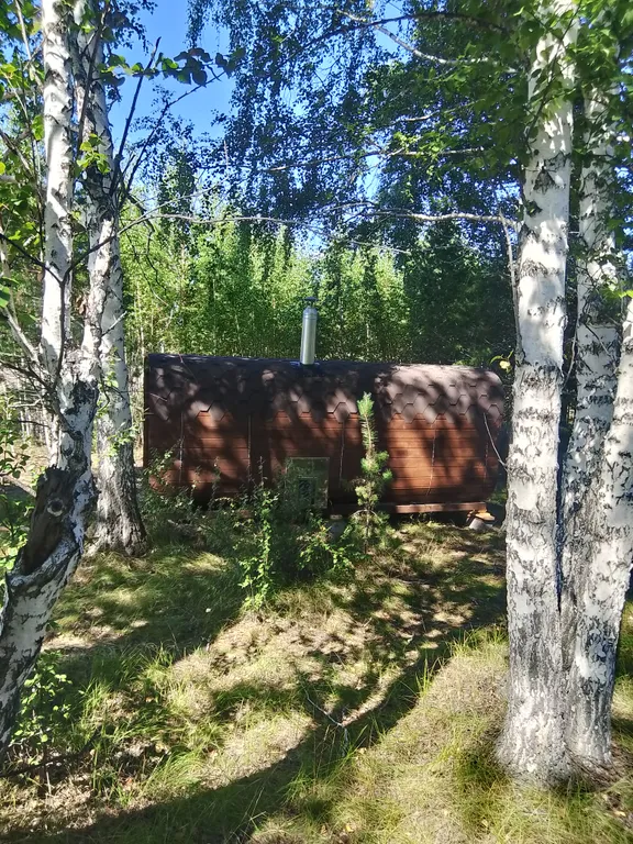 Гео купол в лесу на берегу озера Увильды