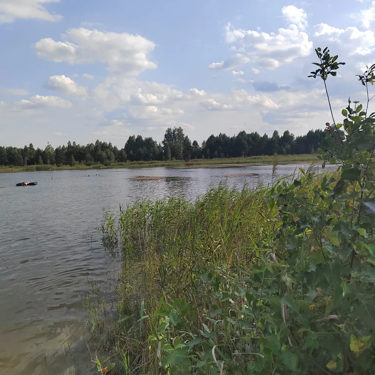 Отдых на территории гпу Беловежская пуща