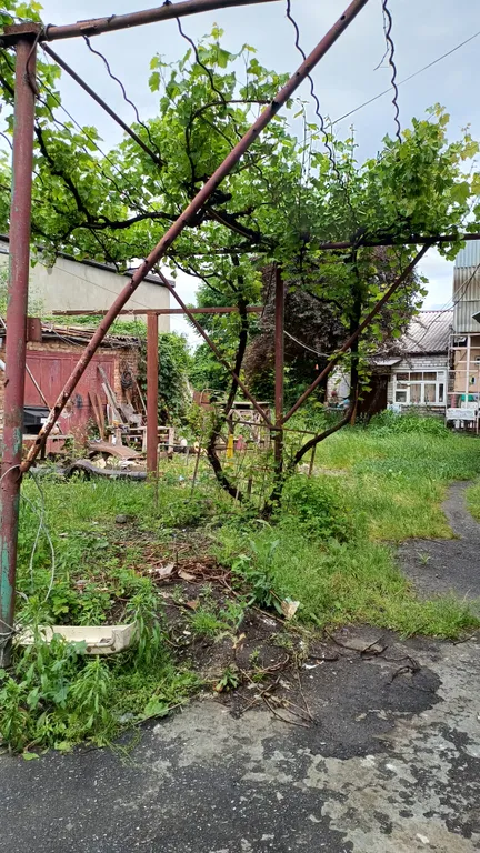 Уютный дом в центре города