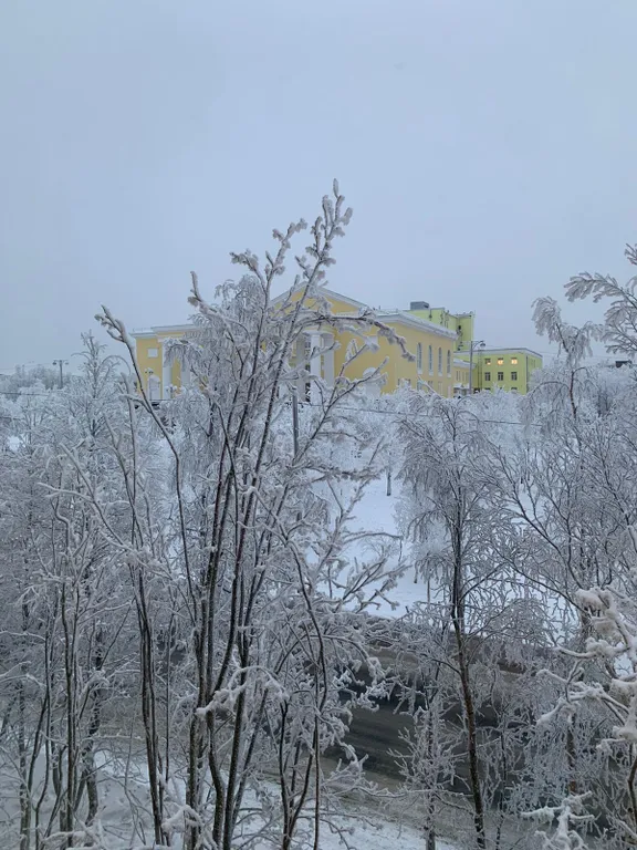 Квартира Хибины