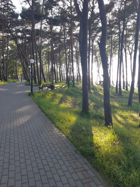 Квартира на берегу Балтийского моря