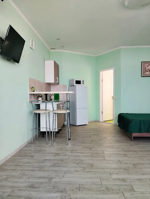 Студия люкс с шикарным видом на море и горы