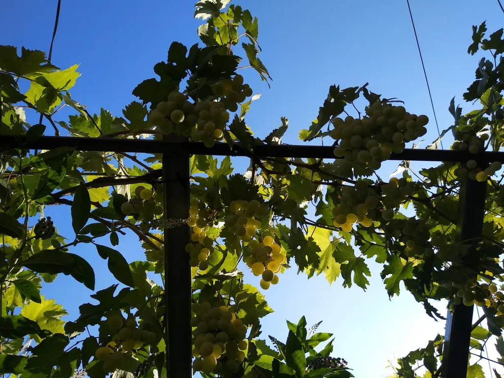 Второй этаж уютного домика